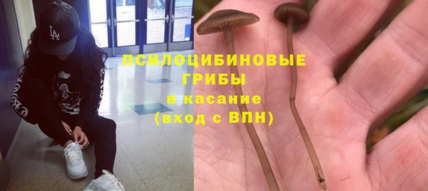 прущая мука Остров