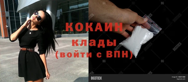 дмт Осинники