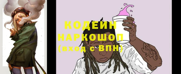 индика Алзамай