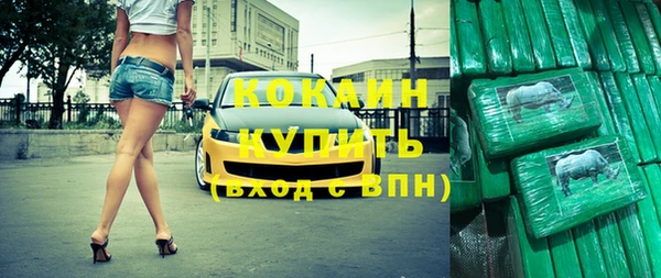 индика Алзамай