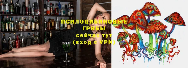 крисы Абаза