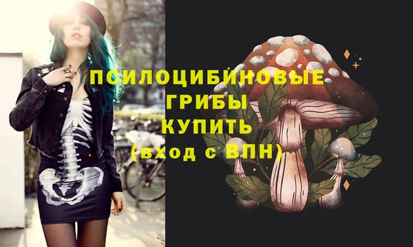 эйфоретик Алексин