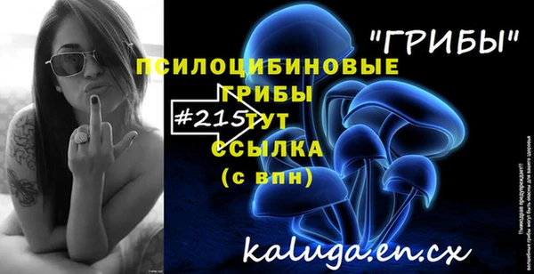эйфоретик Алексин