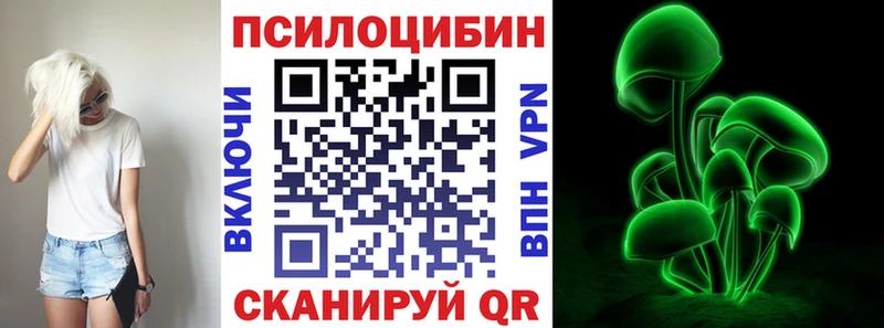 магазин    Курлово  Псилоцибиновые грибы Psilocybine cubensis 